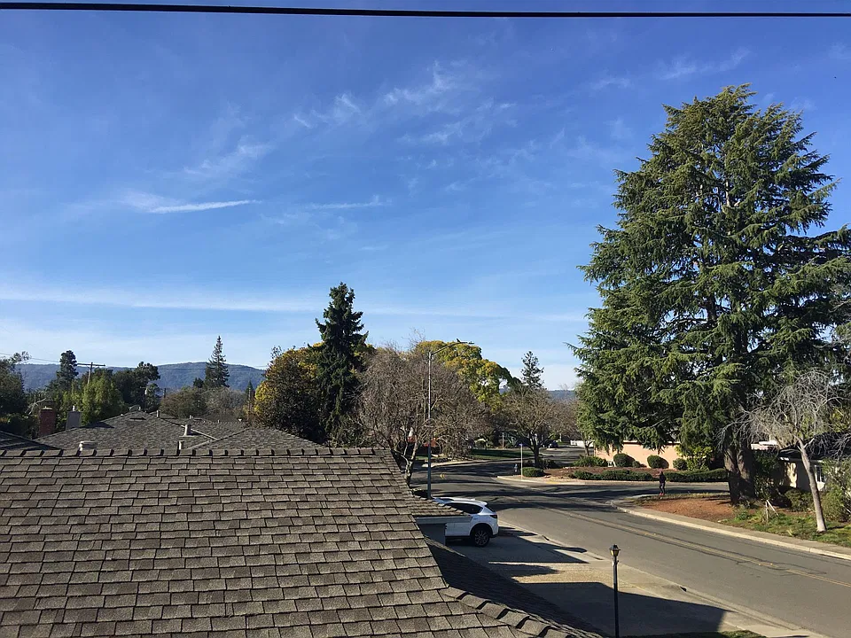 View from the window