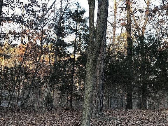 4th image of 4 Wreay Ln #4