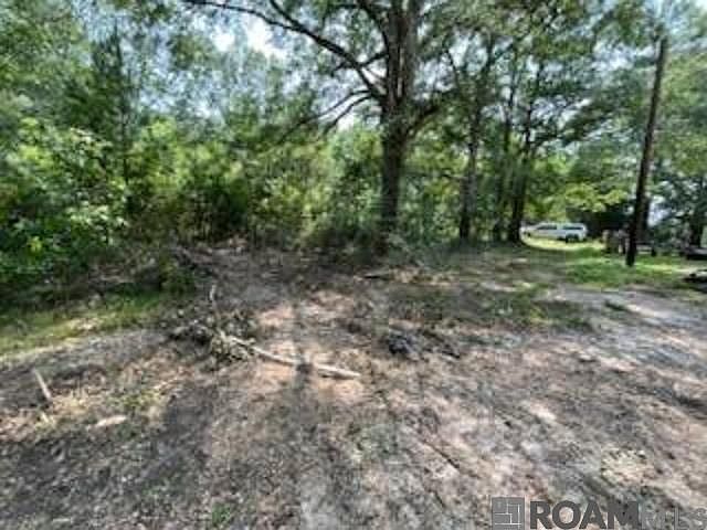 2nd image of 4745 Felix Lee Rd