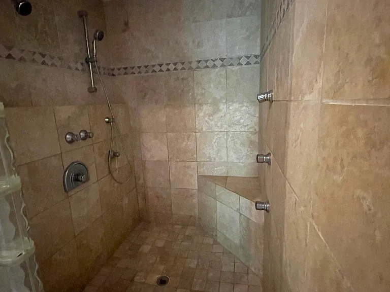 Master bath/shower