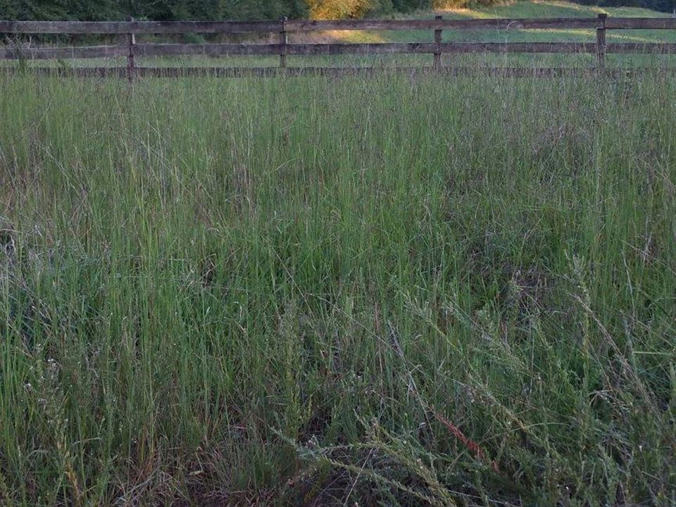 2nd image of Post White Hill Rd