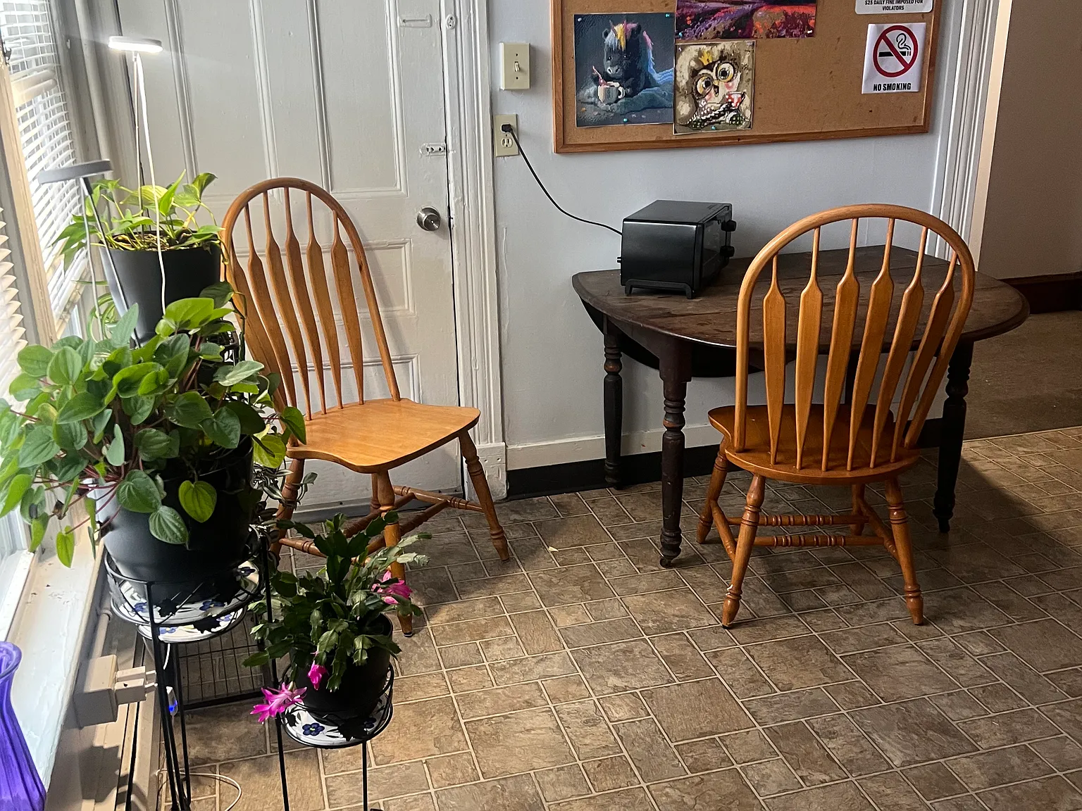 1 bed, $800 — Photo 2