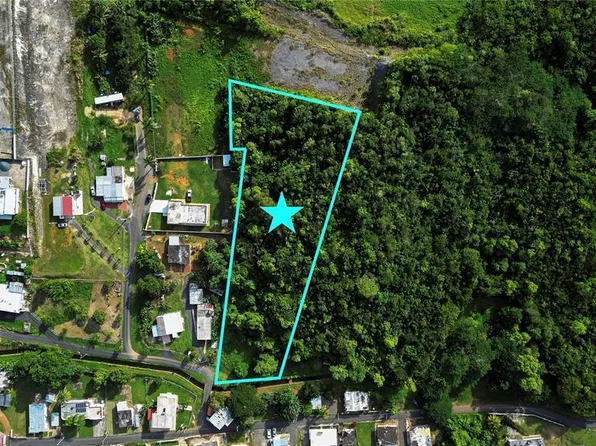 Calle Brillante Arsenales Bajos, Isabela, PR 00662