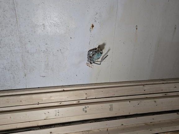 3rd image of 10357 Prince Dr