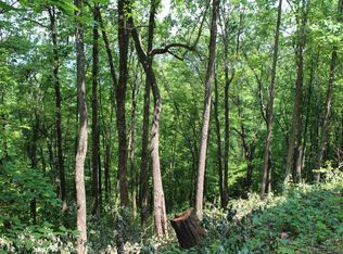 73 Shiloh Rdg, Hayesville, NC 28904