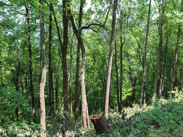 73 Shiloh Rdg, Hayesville, NC 28904