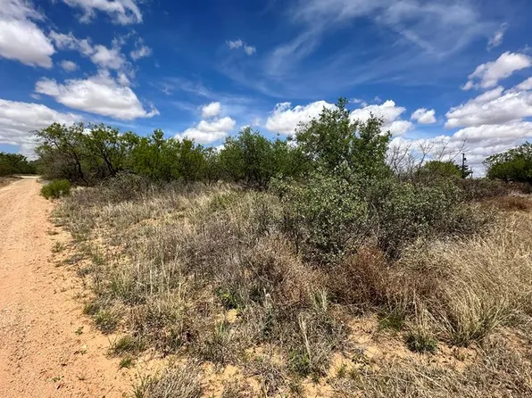 0 Hidalgo St, Colorado City, TX 79512