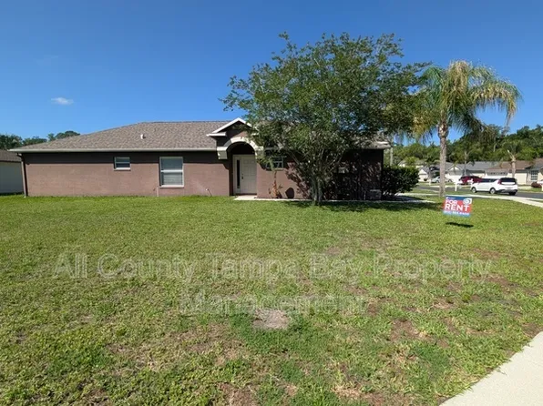 25820 Crippen Dr, Land O Lakes, FL 34639
