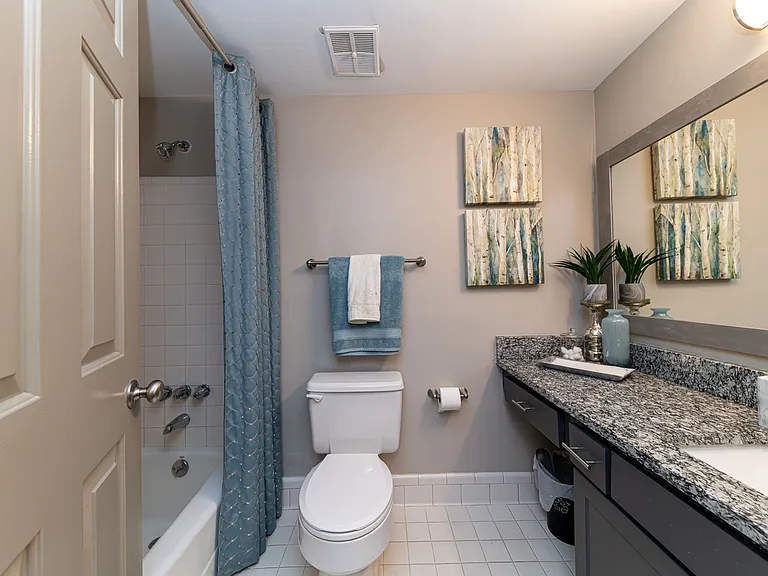 Bright bathroom with granite counters and bathtub