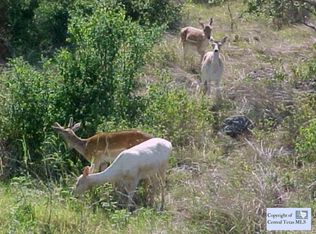 LOT-50R Turkey Cv, New Braunfels, TX 78132