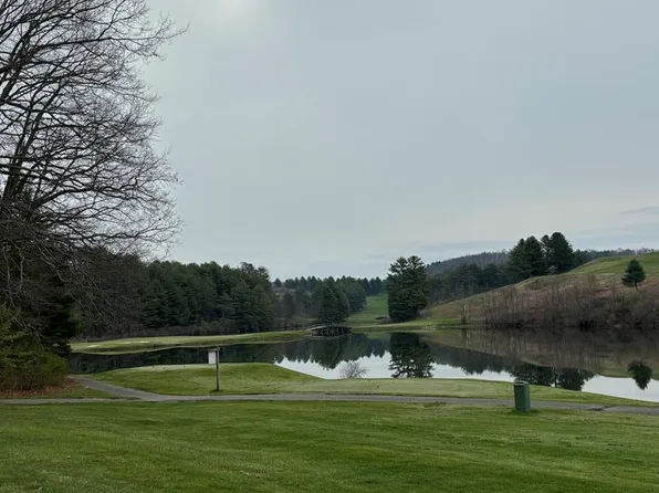 Lone Oak Ct, Laurel Fork, VA 24352