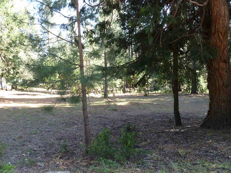 2nd image of 1006 Timber Ridge Rd