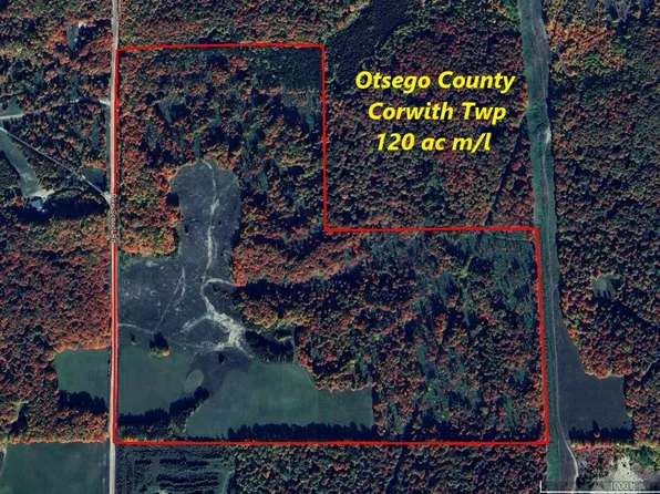 0 Pyke School Rd, Vanderbilt, MI 49795