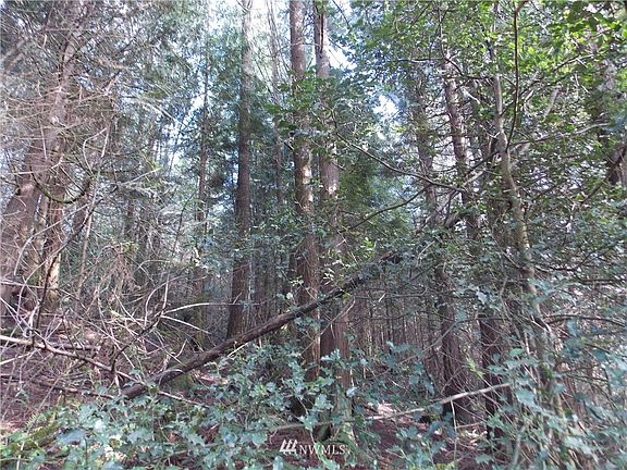 2nd image of 0 Black Bear Lane SE