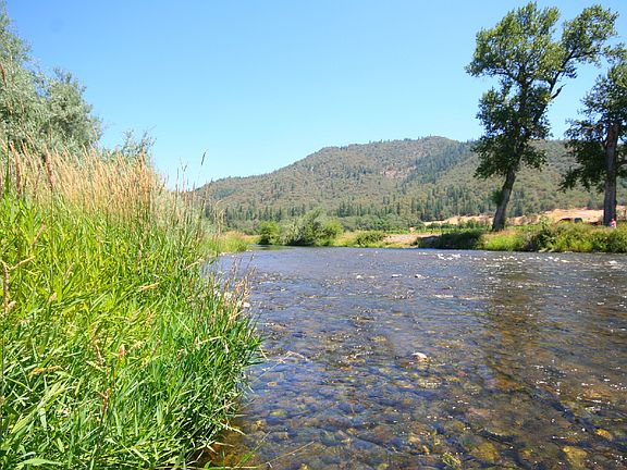 5th image of 15199 Highway 238