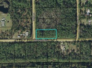 2399 Guava Ln, Bunnell, FL 32110