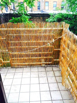 Rented by Kian Realty | media 17