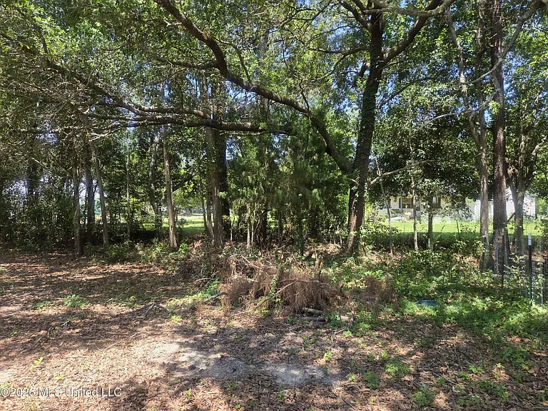 8430 Jeff Davis Dr — Photo 12
