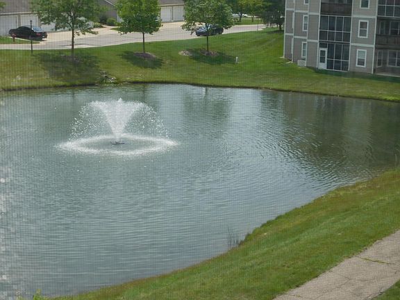 View from Balcony