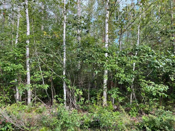 LOT 415 Bonita Dr, Presque Isle, MI 49777