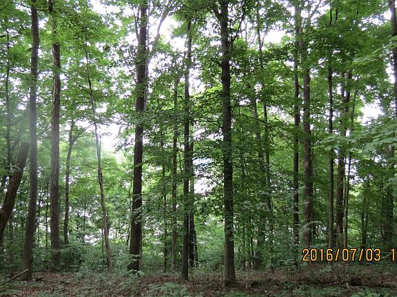 2nd image of 0 Beechtree Cir Lot 6