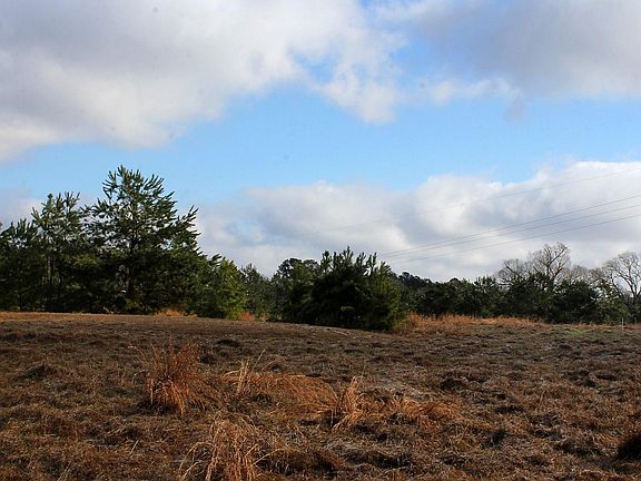 4th image of La Petite Ct