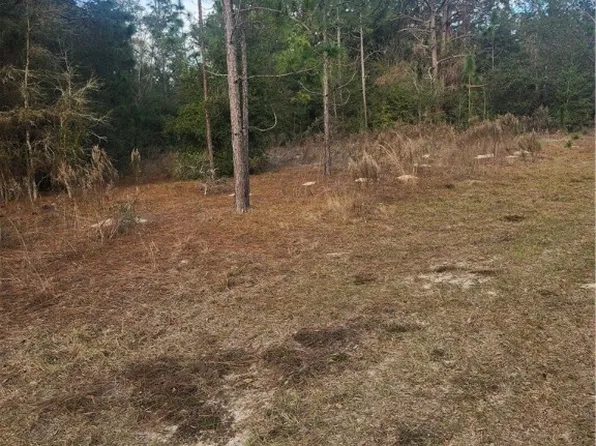 8203 W Baumgardner Ln, Crystal River, FL 34428