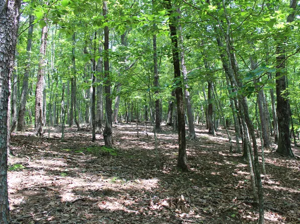 0 Denny Ridge Rd #4568, Jasper, GA 30143