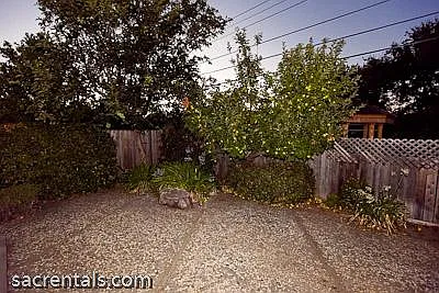 Private Back Yard