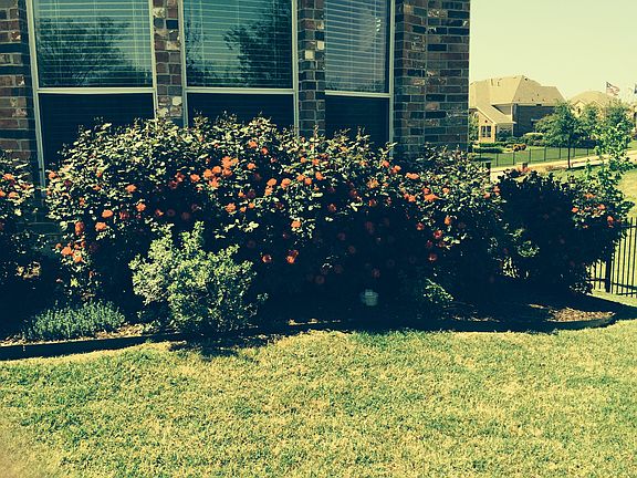 4th image of 2718 Fountainview Blvd