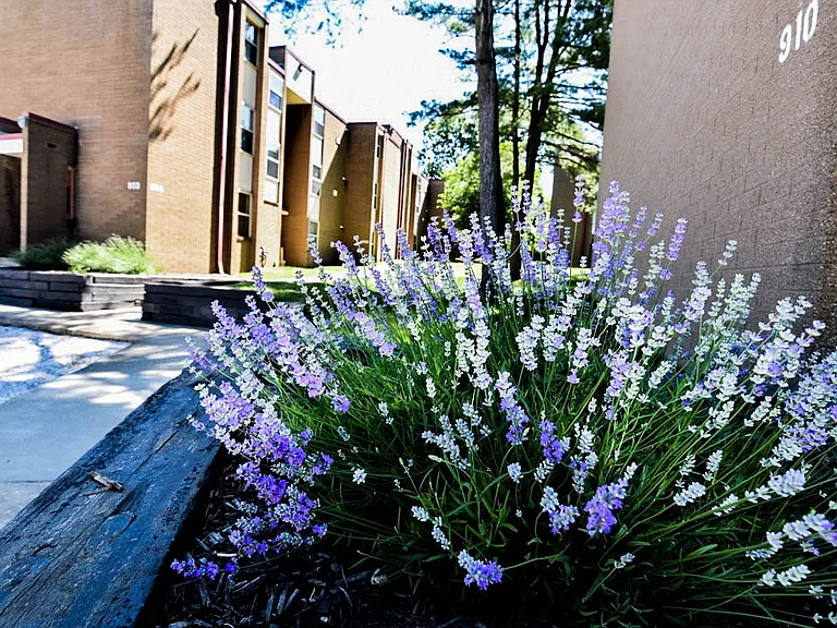 Eagles Landing Apartments — Photo 8