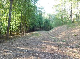 165 Arrowleaf Ln, Sunset, SC 29685