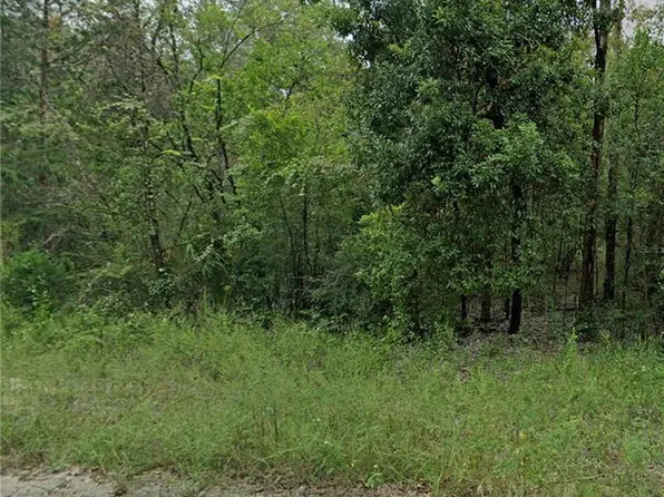 0 NE 160th Ave Lot 1, Williston, FL 32696
