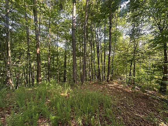 4th image of 94 Wild Orchard Rd #2
