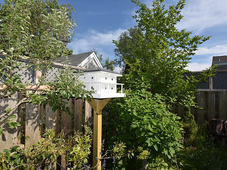 15 Trumbull St — Photo 24
