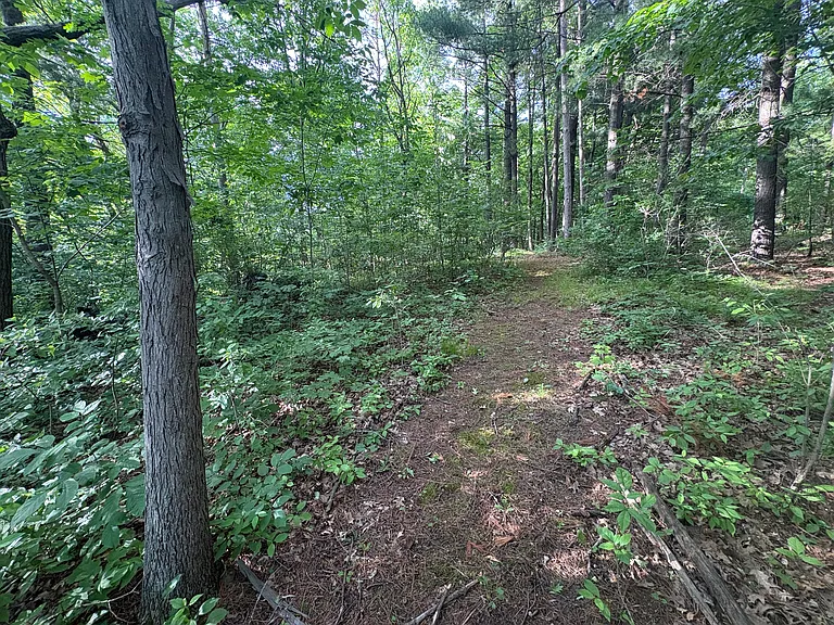 3580 Slinger Rd — Photo 8