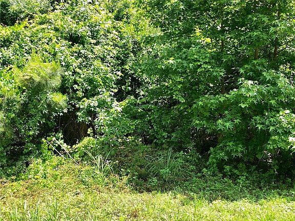 3rd image of 91 Hillery Lake Dr