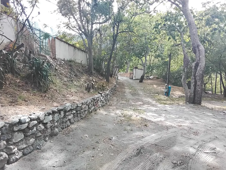 Lytle Creek Rd — Photo 9