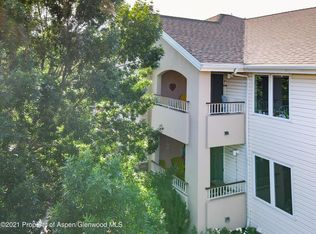 202 12th St UNIT 202, Carbondale, CO 81623
