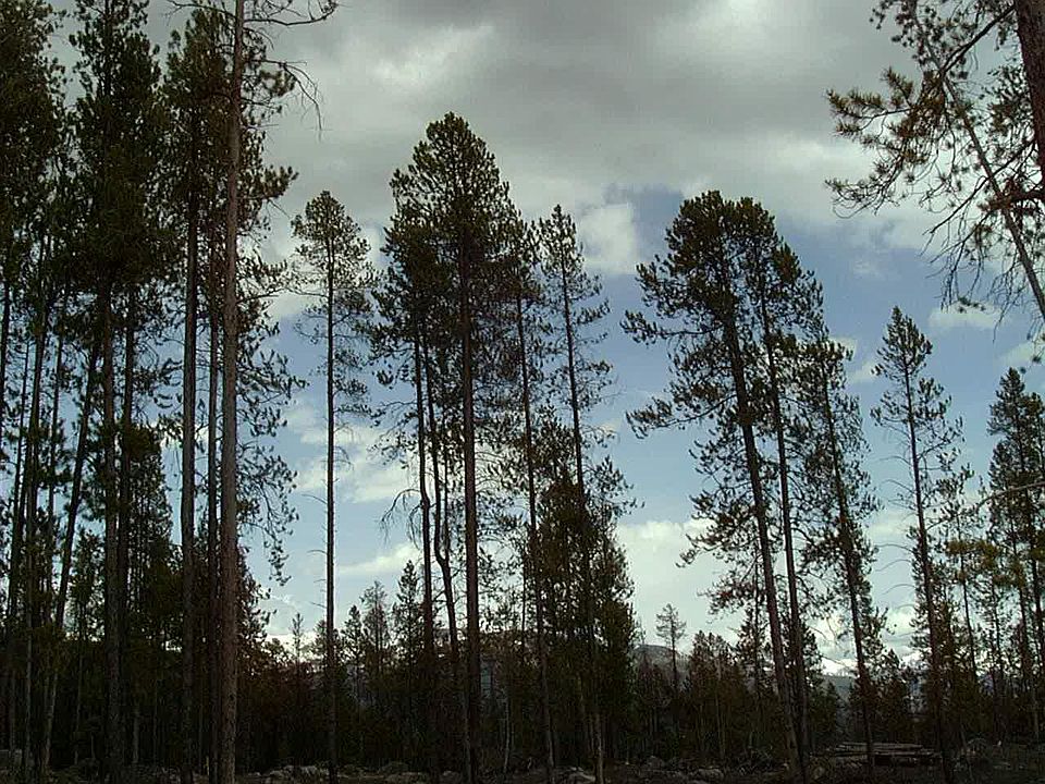 1st image of county road 4