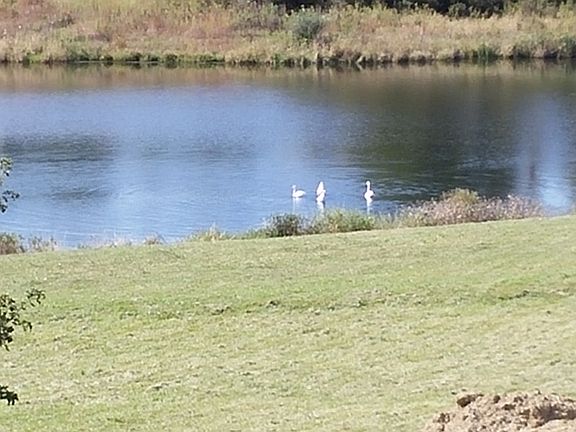 3rd image of 17 Crystal Lake Estate