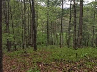 0 Jones Creek Rd, Franklin, NC 28734