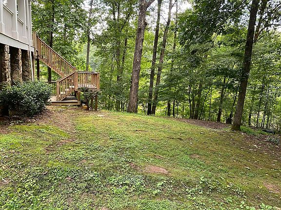 Side yard perfect for play