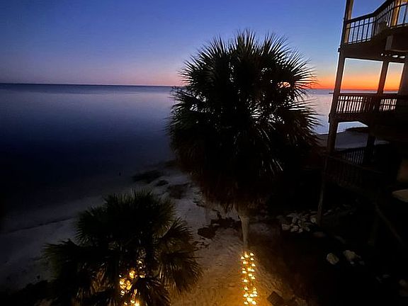 Sunset- cozy palm tree light
