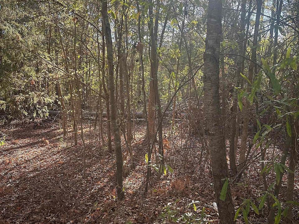 2nd image of 115 Round St