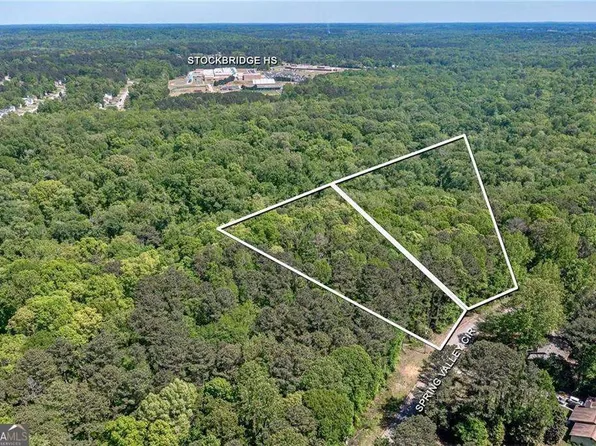 53 Springvalley Way, Stockbridge, GA 30281