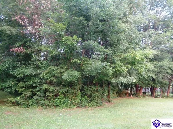 0 Timothy Trl, Campbellsville, KY 42718