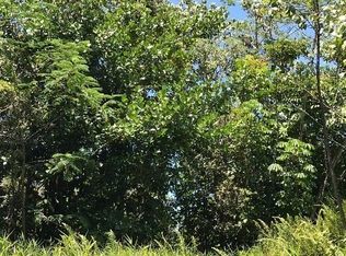 Road 1, Mountain View, HI 96771