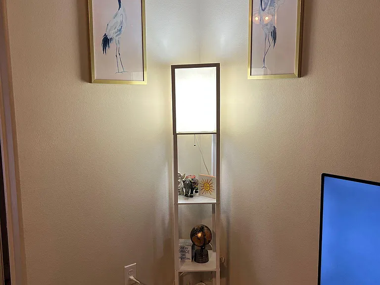 9904 Aloe Ct — Photo 7