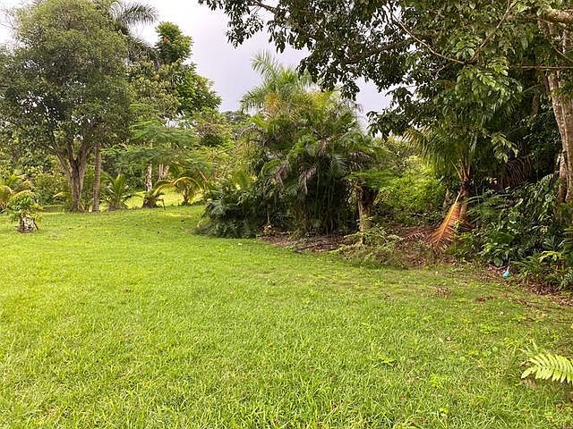 Carr 455 Bo Quebrada Camuy, Camuy, PR 00627 | Zillow